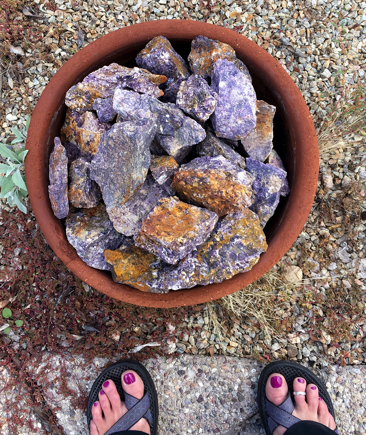 bicibits.com_purple_rocks_clay_bubble_toes_Chacolife_Tucson
